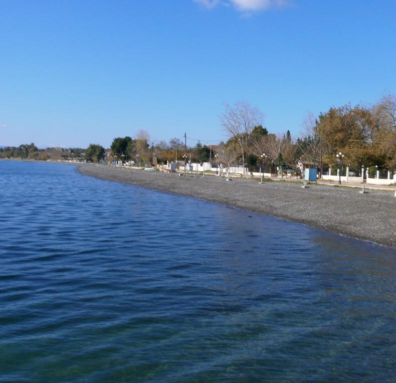 Artemis - Marina Apartments Evia Habitación foto