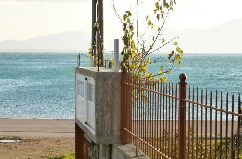 Artemis - Marina Apartments Evia Habitación foto
